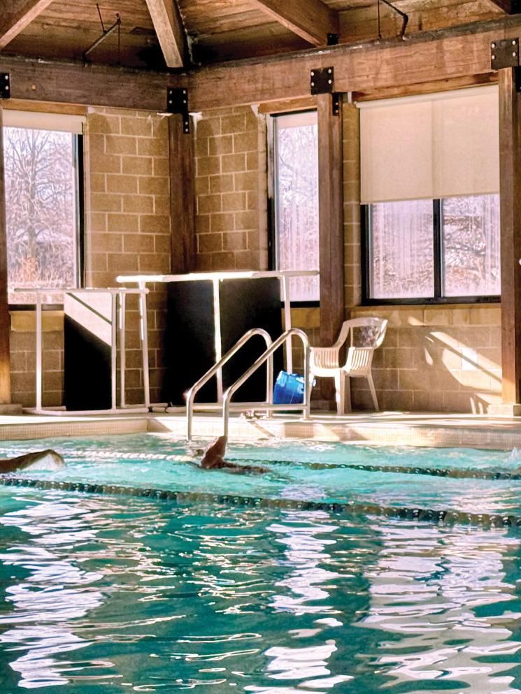 Swimmer in a pool